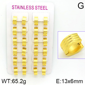 Stainless Steel Earrings  2E2000796alka-387