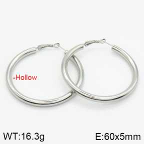 Stainless Steel Earrings  2E2000799vbnb-721