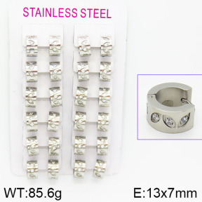 Stainless Steel Earrings  2E4001149amaa-387