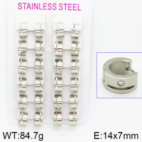 Stainless Steel Earrings  2E4001150alka-387