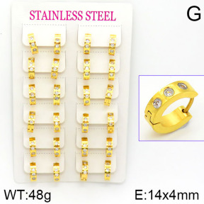 Stainless Steel Earrings  2E4001151amaa-387