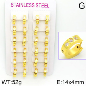 Stainless Steel Earrings  2E4001152ania-387