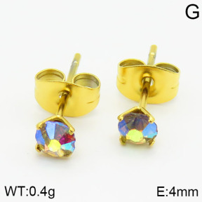 Stainless Steel Earrings  2E4001190vbmb-721