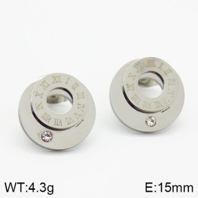 Stainless Steel Earrings  2E4001194vbnb-722