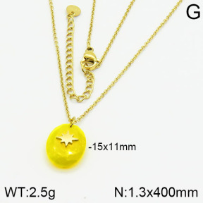Stainless Steel Necklace  2N4000643vhha-721