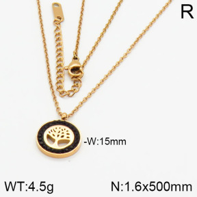 Stainless Steel Necklace  2N4000645bhia-721