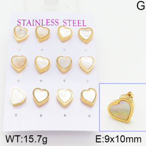 Stainless Steel Earrings  5E3000455biib-436