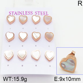Stainless Steel Earrings  5E3000456bika-436