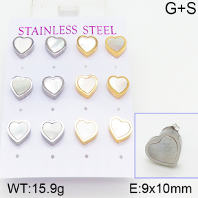 Stainless Steel Earrings  5E3000457vivl-436