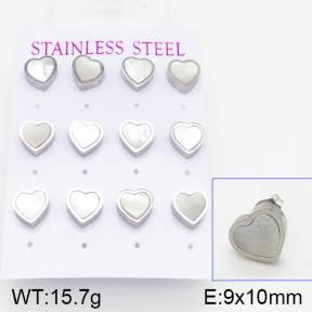 Stainless Steel Earrings  5E3000458ahpv-436