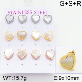 Stainless Steel Earrings  5E3000459biib-436