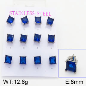 Stainless Steel Earrings  5E4001005bika-436
