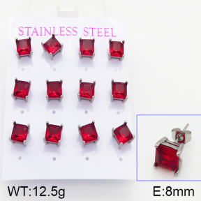 Stainless Steel Earrings  5E4001011bika-436