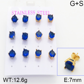 Stainless Steel Earrings  5E4001022aill-436