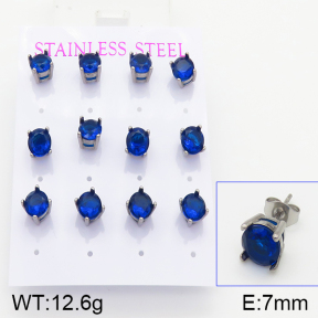 Stainless Steel Earrings  5E4001023bika-436