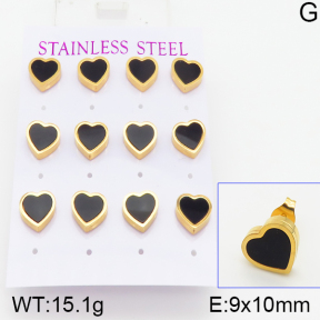 Stainless Steel Earrings  5E4001030vhov-436