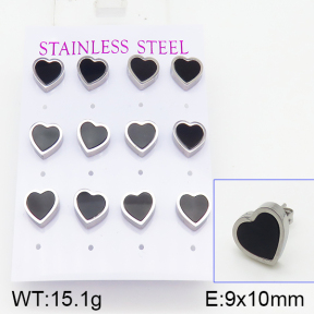 Stainless Steel Earrings  5E4001032ahlv-436