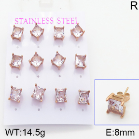 Stainless Steel Earrings  5E4001033bipa-436