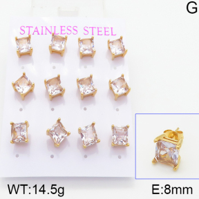 Stainless Steel Earrings  5E4001034vina-436