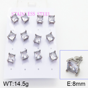 Stainless Steel Earrings  5E4001037bika-436
