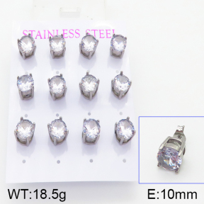 Stainless Steel Earrings  5E4001042bika-436