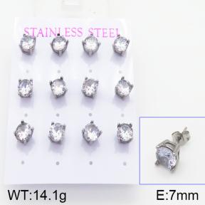 Stainless Steel Earrings  5E4001045bika-436