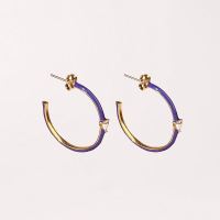 Stainless Steel Earrings  Zircon & Enamel,Handmade Polished  Half Hoop  PVD Vacuum plating gold  E:30mm  GEE000419vhkb-066