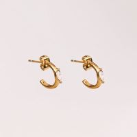 Stainless Steel Earrings  Zircon,Handmade Polished  Half Hoop  PVD Vacuum plating gold  E:12mm  GEE000446bhva-066