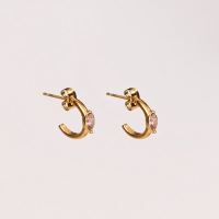 Stainless Steel Earrings  Zircon,Handmade Polished  Half Hoop  PVD Vacuum plating gold  E:12mm  GEE000447bhva-066