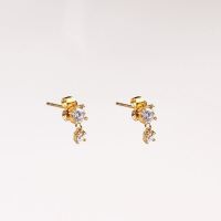 Stainless Steel Earrings  Zircon,Handmade Polished  Round Diamond  PVD Vacuum Plating Gold  E:5mm  GEE000473bhia-066