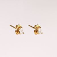 Stainless Steel Earrings  Zircon,Handmade Polished  Water Droplets  PVD Vacuum plating gold  E:5x4mm  GEE000474bhva-066