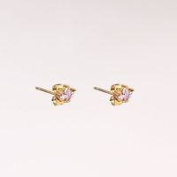 Stainless Steel Earrings  Zircon,Handmade Polished  Crown  PVD Vacuum plating gold  E:5x7mm  GEE000477bhva-066