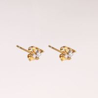 Stainless Steel Earrings  Zircon,Handmade Polished  Crown  PVD Vacuum plating gold  E:5x7mm  GEE000478bhva-066