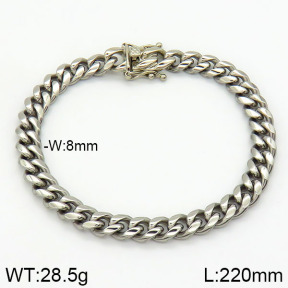 Stainless Steel Bracelet  2B2000932aivb-382
