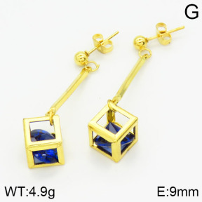 Stainless Steel Earrings  2E4001132baka-698