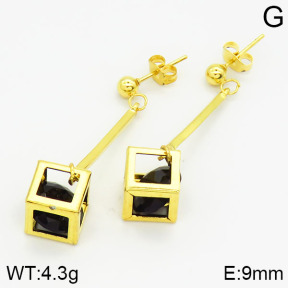 Stainless Steel Earrings  2E4001133baka-698