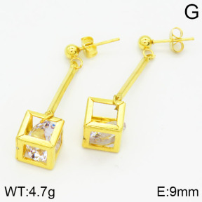 Stainless Steel Earrings  2E4001134baka-698