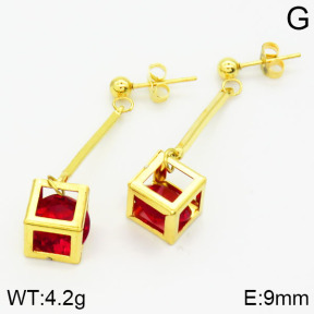 Stainless Steel Earrings  2E4001135baka-698