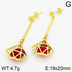 Stainless Steel Earrings  2E4001144baka-698