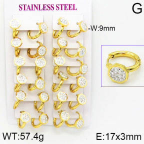 Stainless Steel Earrings  2E4001153bkab-446