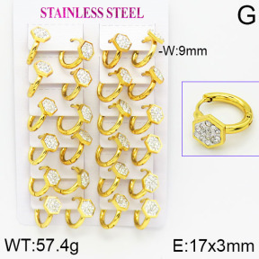 Stainless Steel Earrings  2E4001154bkab-446