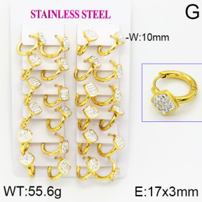 Stainless Steel Earrings  2E4001155bkab-446