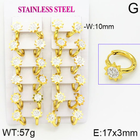 Stainless Steel Earrings  2E4001156bkab-446