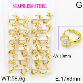 Stainless Steel Earrings  2E4001157bkab-446