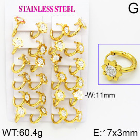 Stainless Steel Earrings  2E4001158bkab-446