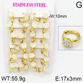 Stainless Steel Earrings  2E4001159bkab-446