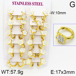 Stainless Steel Earrings  2E4001160bkab-446