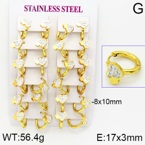 Stainless Steel Earrings  2E4001161bkab-446