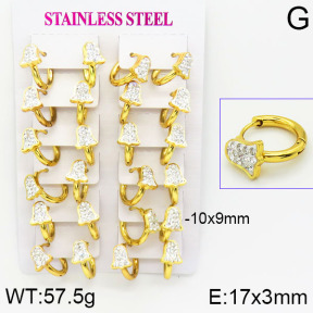 Stainless Steel Earrings  2E4001162bkab-446