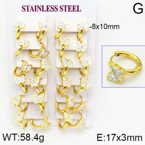 Stainless Steel Earrings  2E4001163bkab-446